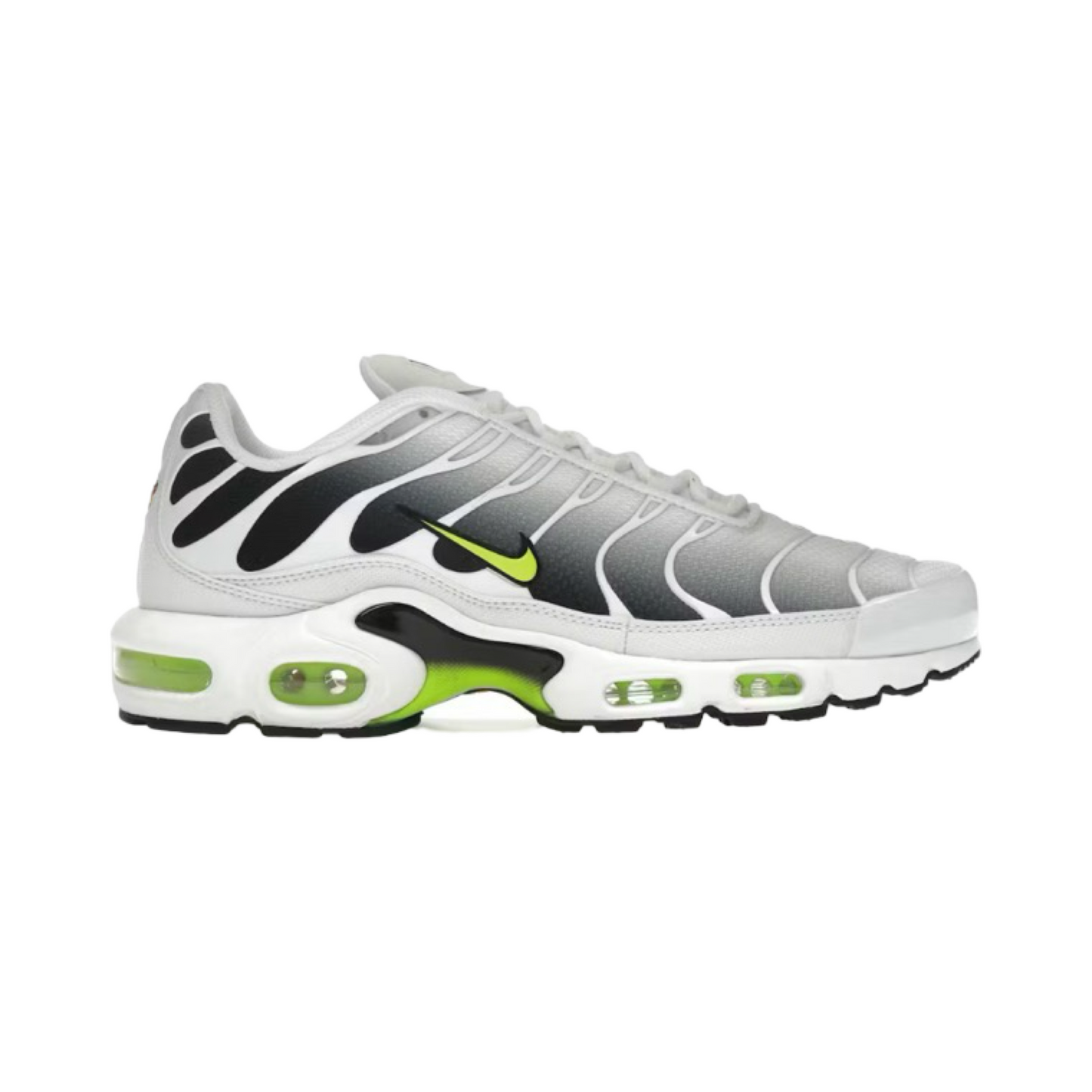 TN Plus Black & White Volt