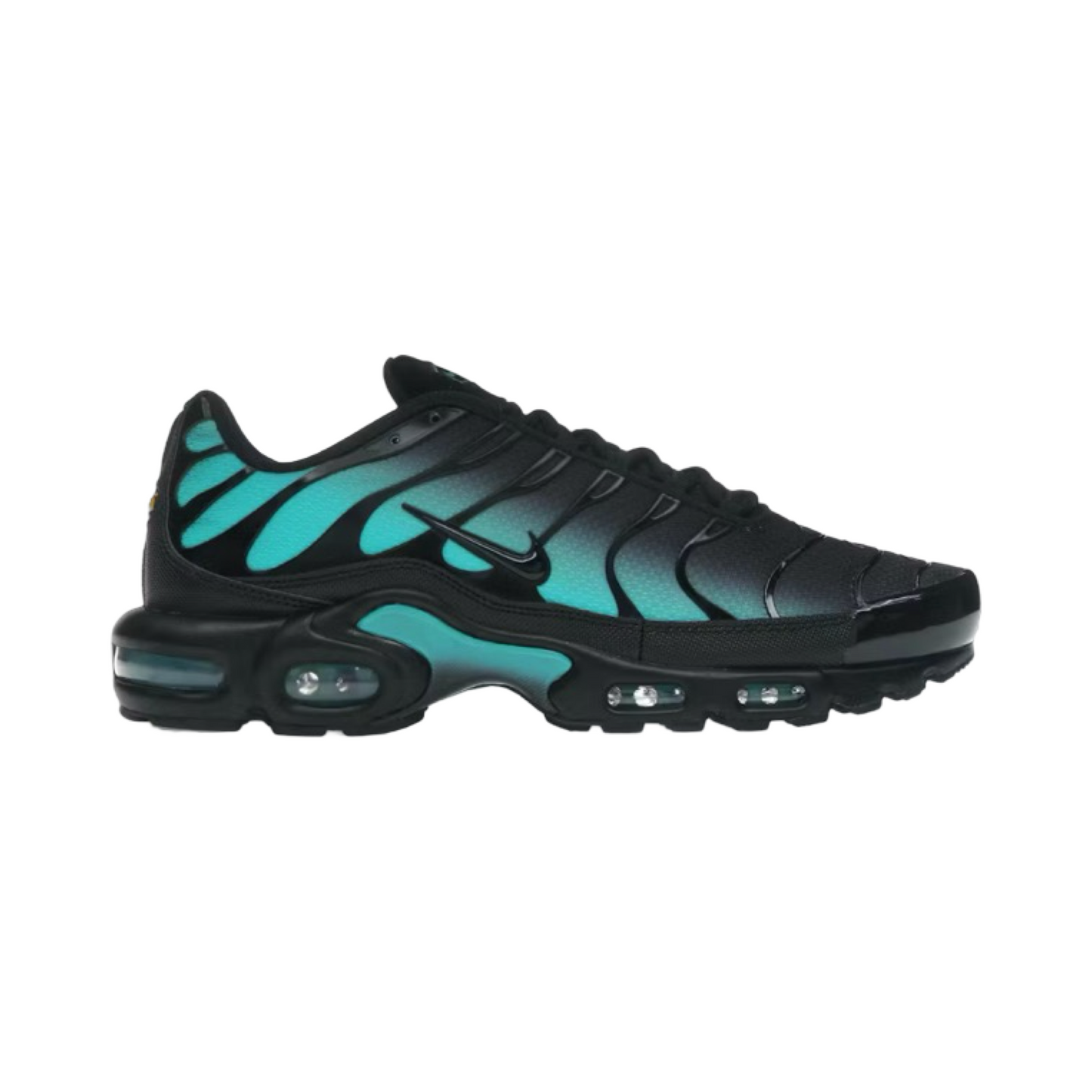 TN Plus Cactus Polveroso Nero