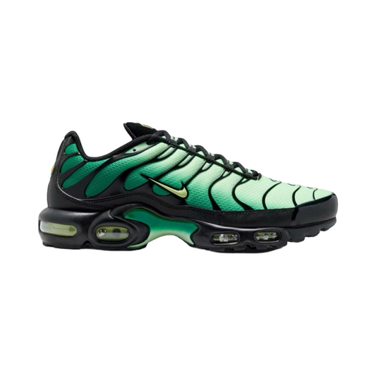 TN Plus Malachite Green