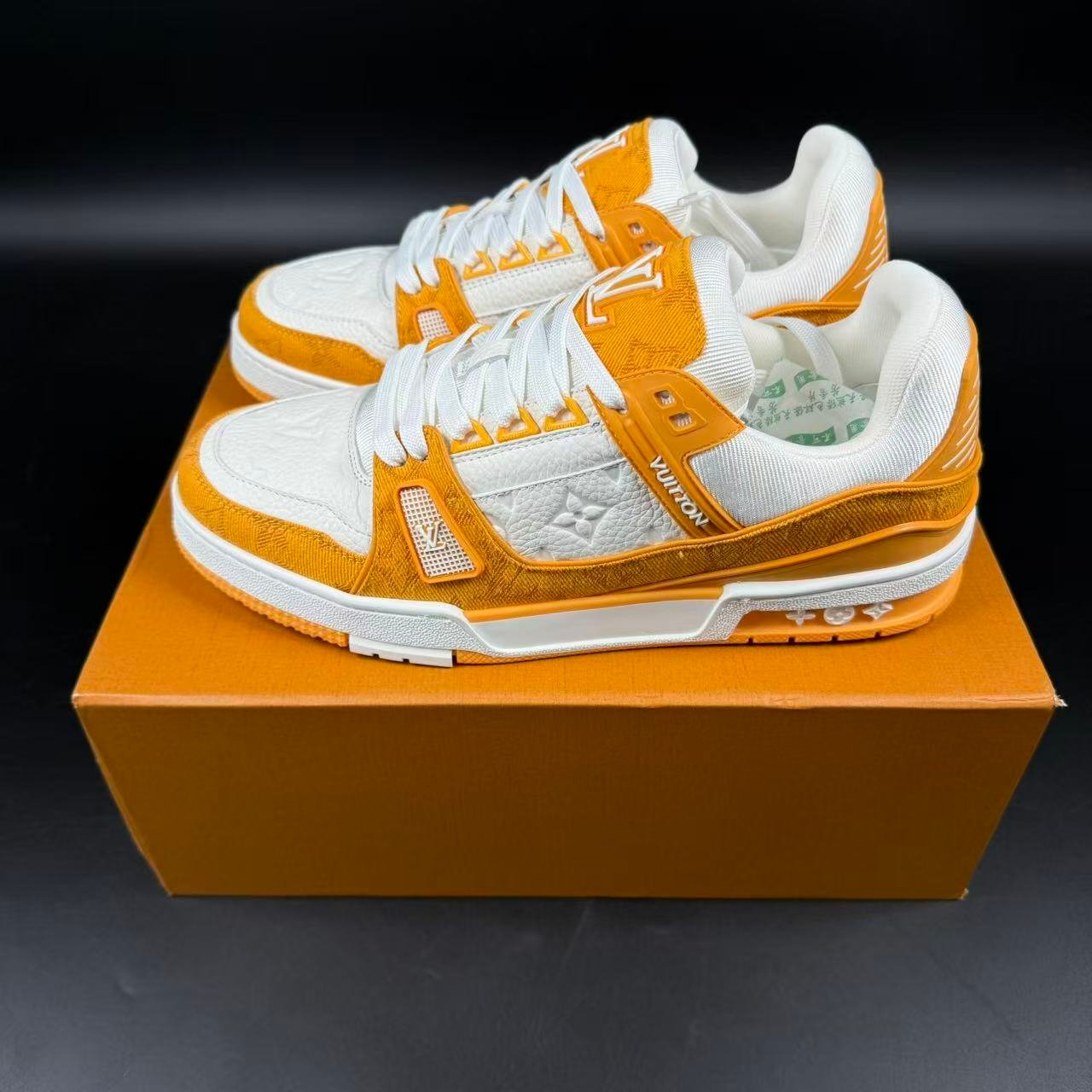 LV TRAINER - immagine 3