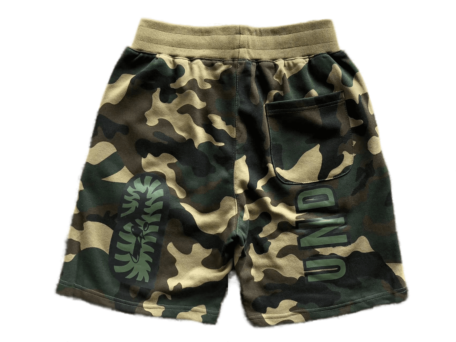 e661eb_17cf8ba5c7934f46a9beb1c23d8b44e6~mv2.png